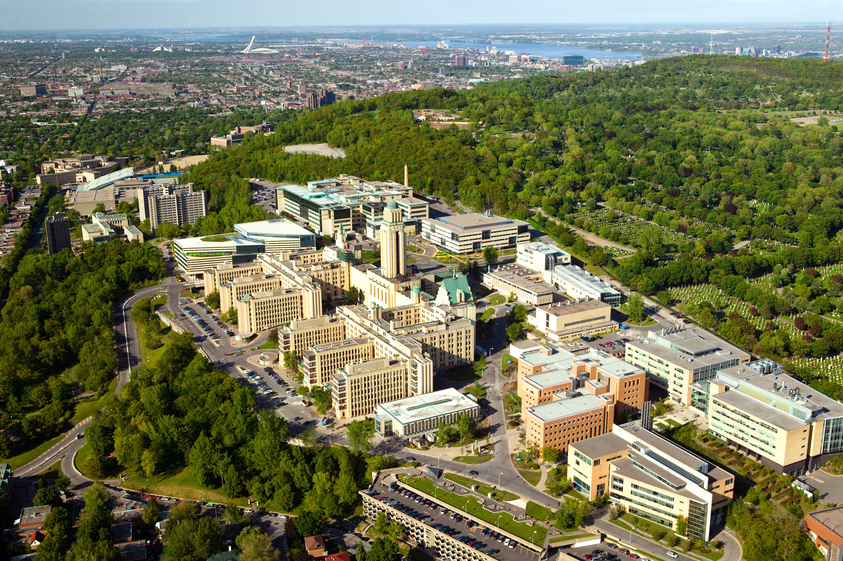 Pursue a career at IRIC | IRIC - Institute for Research in Immunology ...